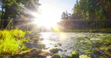 4K dağ nehri zaman dilimi yaz ya da sonbahar zamanı. Vahşi doğa, berrak su ve her zaman yeşil olan kırsal vadi. Güneş ışınları, küçük dere ve sarı otlar. Motorlu doli kaydırma hareketi