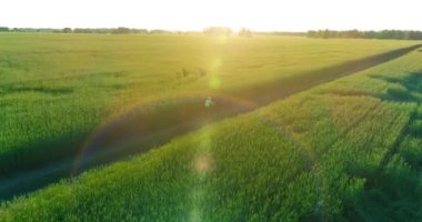 Kırsal yoldaki bir çim tarlasında bisiklet süren genç bir çocuğun hava manzarası. Sıcak güneş ışığı ve ışınlar ile yaz zamanı çayırı. Sağlıklı çocukluk kavramı.