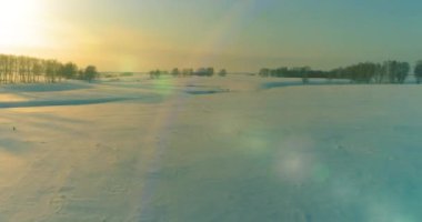 Soğuk kış kutup bölgesinin insansız hava görüntüsü, ufukta karla kaplı ağaçlar, buz nehri ve güneş ışınları. Aşırı düşük sıcaklık havası. Sibirya