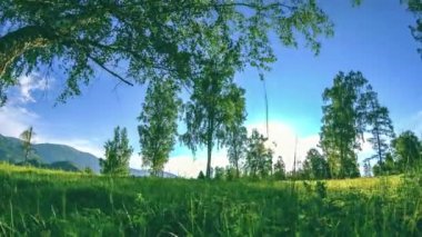 Yaz veya sonbahar aylarında dağ çayır zaman atlamalı. Vahşi doğa ve kırsal alan. Bulutlar, ağaçlar, yeşil çimenler ve güneş ışınları ufukta. Motorlu sürgü dolly hareketi.