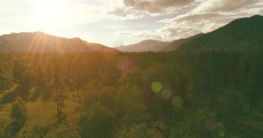 4K hava görüntüsü. Güneşli bir yaz akşamında sonsuz dağ ormanları olan sonsuz yeşil çam ağacı manzarasının üzerinde alçak uçuş. Ufuktaki güneş ışınları. Hızlı yatay hareket. Vahşi doğa.
