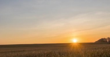 4K düz tepe çayır zamanı sonbahar gündoğumu zamanı. Vahşi doğa ve kırsal çimler. Güneş ışınları ve sarı çimenler. Motorlu doli kaydırma ve panorama hareketi