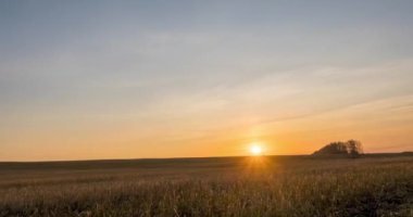 4K düz tepe çayır zamanı sonbahar gündoğumu zamanı. Vahşi doğa ve kırsal çimler. Güneş ışınları ve sarı çimenler. Motorlu doli kaydırma ve panorama hareketi