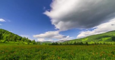 Yaz ya da sonbahar mevsiminde dağdaki çayır zaman atlaması. Vahşi doğa ve kırsal alan. Bulutların hareketi, yeşil çimenler ve güneş ışınları. Motorlu Panorama