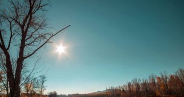 Dağ nehri yaz ya da sonbahar gündüz hızlanır. Vahşi doğa, berrak mavi su ve kuru ağaçlar. Güneş ışınları ve hafif akşam rüzgarı. Motorlu doli kaydırma hareketi