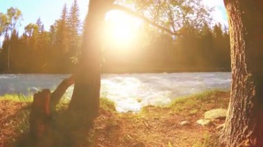 4K UHD dağlık nehir kıyısındaki çayırlarda yeşil çimenler, çam ağaçları ve güneş ışınları. Sonbahar ya da yaz havası. Motorlu kaydırma dolly üzerinde yumuşak hareket.