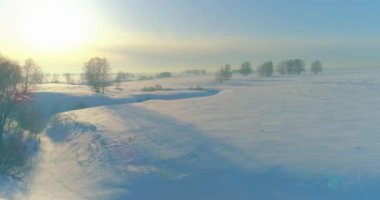 Soğuk kış kutup bölgesinin insansız hava görüntüsü, ufukta karla kaplı ağaçlar, buz nehri ve güneş ışınları. Aşırı düşük sıcaklık havası.