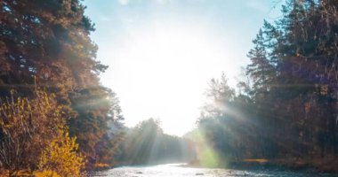 4K UHD dağ nehri zaman dilimi yaz ya da sonbahar saatlerinde. Vahşi doğa, berrak su ve her zaman yeşil olan kırsal vadi. Güneş ışınları, küçük dere ve sarı otlar. Motorlu doli kaydırma hareketi