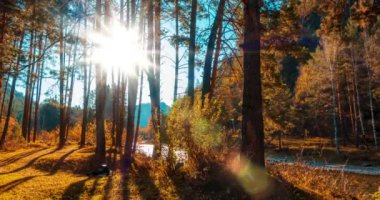 4k dağı, çam ağacı ormanı yaz ya da sonbahar zamanında zaman kavramına dönüşür. Vahşi doğa, berrak su ve kırsal vadi. Güneş ışınları, küçük dere, nehir ve sarı otlar. Motorlu doli kaydırma hareketi