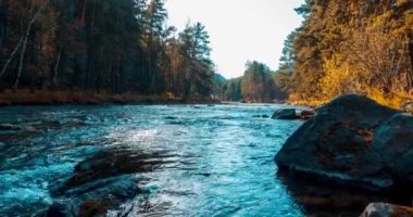 4K UHD dağ nehri zaman dilimi yaz ya da sonbahar saatlerinde. Vahşi doğa, berrak su ve her zaman yeşil olan kırsal vadi. Güneş ışınları, küçük dere ve sarı otlar. Motorlu doli kaydırma hareketi