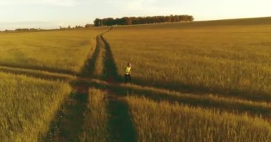 Sportif bir çocuğun havadan çekimleri buğday tarlasından geçiyor. Kırsal çayırlarda akşam sporu alıştırmaları. Mutlu bir çocukluk sağlıklı bir yaşam biçimidir. Açık havada koşma transferi. Radikal hareket, güneş