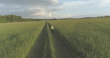 Sportif bir çocuğun havadan çekimleri buğday tarlasından geçiyor. Kırsal çayırlarda akşam sporu alıştırmaları. Mutlu bir çocukluk sağlıklı bir yaşam biçimidir. Açık havada koşma transferi. Radikal hareket, güneş