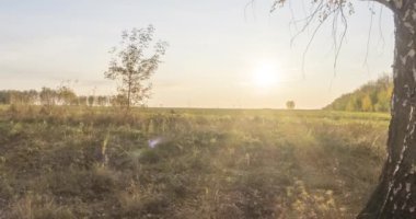 4K UHD düz çayır zamanı yaz veya sonbahar günbatımında. Vahşi Rus doğası ve kırsal alan. Güneş ışınları, ağaçlar, yeşil çimen hareketleri. Motorlu doli kaydırıcı