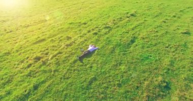 Havadan bakış açısı. Sarı kırsal alanda yeşil çimlerin üzerinde dizüstü bilgisayarı olan bir adam etrafında alçak yörüngeden uçuyordu. Sıradan giyinmiş. Güneş ışınları. Radikal hareket.
