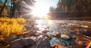 4K dağ nehri zaman dilimi yaz ya da sonbahar zamanı. Vahşi doğa, berrak su ve her zaman yeşil olan kırsal vadi. Güneş ışınları, küçük dere ve sarı otlar. Motorlu doli kaydırma hareketi