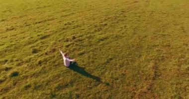 Havadan bakış açısı. Yeşil çimlerde oturan ve kırsal alanda not defteri olan bir adamın etrafında alçak yörünge uçuşları. Gündelik kıyafet ve Zen meditasyonu. Eller havada. Güneş ışınları. Radikal hareket.