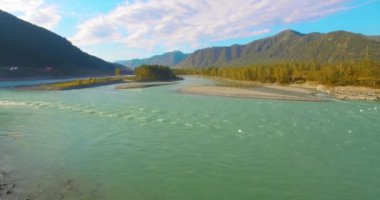 4K hava bakış açısı. Güneşli yaz sabahında, taze, hızlı dağ nehri üzerinde kayalıklarla alçak irtifa uçuşu. Yeşil çam ağaçları ve güneş ışınları. Saf soğuk su akıntısı.