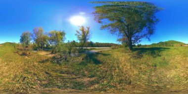 4K 360 VR Bir nehrin Sanal Gerçekliği Altay Rusya dağları ormanları ve çayırlarındaki bu güzel manzarada kayaların üzerinden akıyor