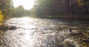 4K UHD dağ nehri zaman dilimi yaz ya da sonbahar saatlerinde. Vahşi doğa, berrak su ve her zaman yeşil olan kırsal vadi. Güneş ışınları, küçük dere ve sarı otlar. Motorlu doli kaydırma hareketi
