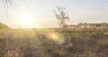 4K UHD düz çayır zamanı yaz veya sonbahar günbatımında. Vahşi Rus doğası ve kırsal alan. Güneş ışınları, ağaçlar, yeşil çimen hareketleri. Motorlu doli kaydırıcı