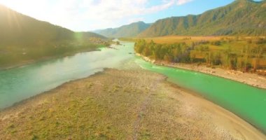 4K hava bakış açısı. Güneşli yaz sabahında, taze, hızlı dağ nehri üzerinde kayalıklarla alçak irtifa uçuşu. Yeşil çam ağaçları ve güneş ışınları. Saf soğuk su akıntısı.