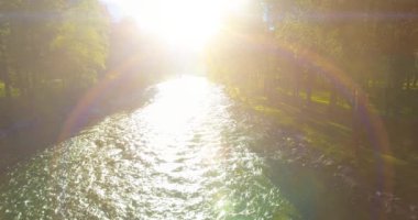 4K hava bakış açısı. Güneşli yaz sabahında, taze, hızlı dağ nehri üzerinde kayalıklarla alçak irtifa uçuşu. Yeşil çam ağaçları ve güneş ışınları. Saf soğuk su akıntısı.