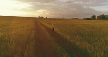 Sportif bir çocuğun havadan çekimleri buğday tarlasından geçiyor. Kırsal çayırlarda akşam sporu alıştırmaları. Mutlu bir çocukluk sağlıklı bir yaşam biçimidir. Açık havada koşma transferi. Radikal hareket, güneş
