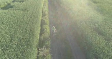 Kırsal yoldaki bir çim tarlasında bisiklet süren genç bir çocuğun hava manzarası. Sıcak güneş ışığı ve ışınlar ile yaz zamanı çayırı. Sağlıklı çocukluk kavramı.