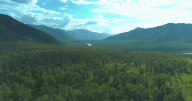 4K hava görüntüsü. Güneşli bir yaz akşamında sonsuz dağ ormanları olan sonsuz yeşil çam ağacı manzarasının üzerinde alçak uçuş. Ufuktaki güneş ışınları. Hızlı yatay hareket. Vahşi doğa.