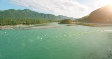 4K hava bakış açısı. Güneşli yaz sabahında, taze, hızlı dağ nehri üzerinde kayalıklarla alçak irtifa uçuşu. Yeşil çam ağaçları ve güneş ışınları. Saf soğuk su akıntısı.