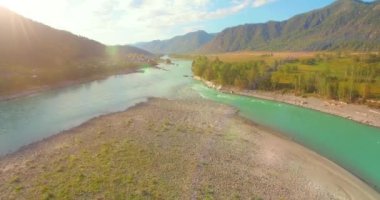 4K hava bakış açısı. Güneşli yaz sabahında, taze, hızlı dağ nehri üzerinde kayalıklarla alçak irtifa uçuşu. Yeşil çam ağaçları ve güneş ışınları. Saf soğuk su akıntısı.