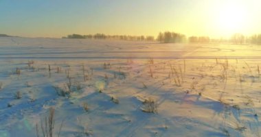 Arktik çayırlı soğuk kış manzarası, karla kaplı ağaçlar ve ufukta sabah güneşleri. Aşırı hava.