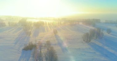 Arktik çayırlı soğuk kış manzarası, karla kaplı ağaçlar ve ufukta sabah güneşleri. Aşırı hava.