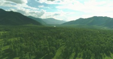 4K hava görüntüsü. Güneşli bir yaz akşamında sonsuz dağ ormanları olan sonsuz yeşil çam ağacı manzarasının üzerinde alçak uçuş. Ufuktaki güneş ışınları. Hızlı yatay hareket. Vahşi doğa.