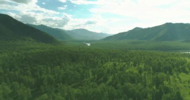 4K hava görüntüsü. Güneşli bir yaz akşamında sonsuz dağ ormanları olan sonsuz yeşil çam ağacı manzarasının üzerinde alçak uçuş. Ufuktaki güneş ışınları. Hızlı yatay hareket. Vahşi doğa.