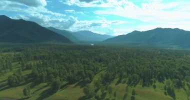 4K hava görüntüsü. Güneşli bir yaz akşamında sonsuz dağ ormanları olan sonsuz yeşil çam ağacı manzarasının üzerinde alçak uçuş. Ufuktaki güneş ışınları. Hızlı yatay hareket. Vahşi doğa.