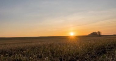 4K düz tepe çayır zamanı sonbahar gündoğumu zamanı. Vahşi doğa ve kırsal çimler. Güneş ışınları ve sarı çimenler. Motorlu doli kaydırma ve panorama hareketi