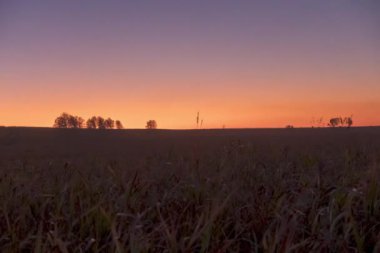 4K UHD düz tepe çayır zamanı yaz ya da sonbahar gündoğumu zamanı. Vahşi doğa ve kırsal çimler. Güneş ışınları ve yeşil ağaçlar. Motorlu doli kaydırıcı