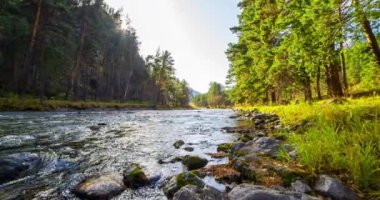 4K dağ nehri zaman dilimi yaz ya da sonbahar zamanı. Vahşi doğa, berrak su ve her zaman yeşil olan kırsal vadi. Güneş ışınları, küçük dere ve sarı otlar. Motorlu doli kaydırma hareketi