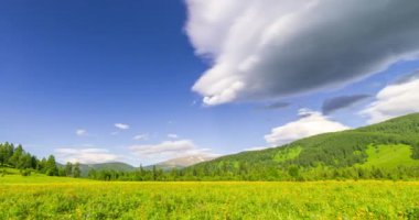 Yaz ya da sonbahar mevsiminde dağdaki çayır zaman atlaması. Vahşi doğa ve kırsal alan. Bulutların hareketi, yeşil çimenler ve güneş ışınları. Motorlu Panorama