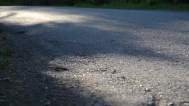 Yeni asfalt yolda koşan FHD sporcusu. Şehir parkında gün doğumu ya da gün batımı. Yeşil ağaç ormanı ve ufukta güneş ışınları. Düz renk.