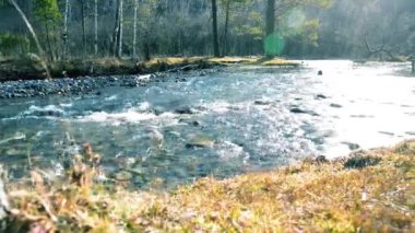 Ormanın yakınındaki küçük bir dağ nehrinde akan suyun motorlu bebek kaydırağıyla çekilmiş görüntüsü. Kocaman ıslak kayalar ve güneş ışınları. Kırsal bölgede yatay sabit hareket.