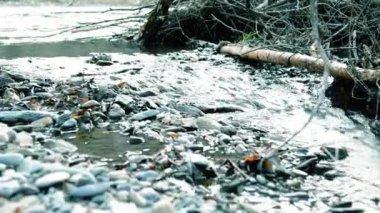 Ormanın yakınındaki küçük bir dağ nehrinde akan suyun motorlu bebek kaydırağıyla çekilmiş görüntüsü. Kocaman ıslak kayalar ve güneş ışınları. Kırsal bölgede yatay sabit hareket.