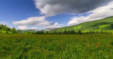 Yaz ya da sonbahar mevsiminde dağdaki çayır zaman atlaması. Vahşi doğa ve kırsal alan. Bulutların hareketi, yeşil çimenler ve güneş ışınları. Motorlu Panorama