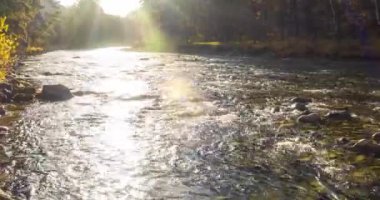 4K UHD dağ nehri zaman dilimi yaz ya da sonbahar saatlerinde. Vahşi doğa, berrak su ve her zaman yeşil olan kırsal vadi. Güneş ışınları, küçük dere ve sarı otlar. Motorlu doli kaydırma hareketi