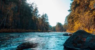 4K UHD dağ nehri zaman dilimi yaz ya da sonbahar saatlerinde. Vahşi doğa, berrak su ve her zaman yeşil olan kırsal vadi. Güneş ışınları, küçük dere ve sarı otlar. Motorlu doli kaydırma hareketi