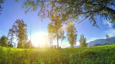 Yaz veya sonbahar aylarında dağ çayır zaman atlamalı. Vahşi doğa ve kırsal alan. Bulutlar, ağaçlar, yeşil çimenler ve güneş ışınları ufukta. Motorlu sürgü dolly hareketi.