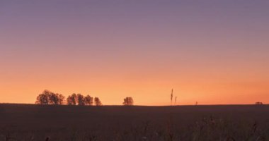 4K UHD düz tepe çayır zamanı yaz ya da sonbahar gündoğumu zamanı. Vahşi doğa ve kırsal çimler. Güneş ışınları ve yeşil ağaçlar. Motorlu doli kaydırıcı