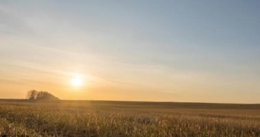 Sonbahar günbatımında 4K düz çayır zamanı. Vahşi doğa ve kırsal çimler. Güneş ışınları ve sarı çimenler. Motorlu doli kaydırma ve panorama hareketi