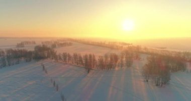 Arktik çayırlı soğuk kış manzarası, karla kaplı ağaçlar ve ufukta sabah güneşleri. Aşırı hava.